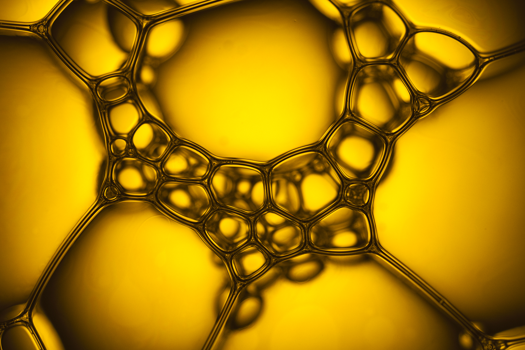 潤滑油有保質(zhì)期嗎?(圖1) 54436504.jpg